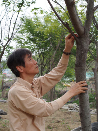 최근 부동산과 주식 등 일반적인 재테크에서 벗어나 