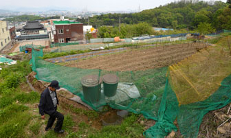 3일 근린공원 예정지인 대구 서구 상리동 서대구공단 인근 와룡산 자락에 울타리가 쳐진 채 텃밭이 가꾸어지고 닭, 개 등이 사육되고 있다. 성일권기자 sungig@msnet.co.kr