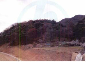 경북 경산시 남산면 상대리 584