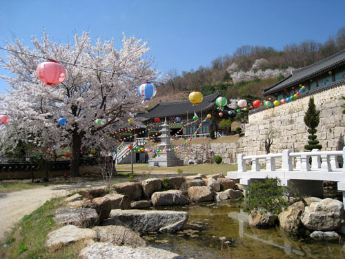 봄꽃과 연등이 조화를 이룬 동천사 앞마당. 멀리 대웅보전의 아름다운 단청이 보인다