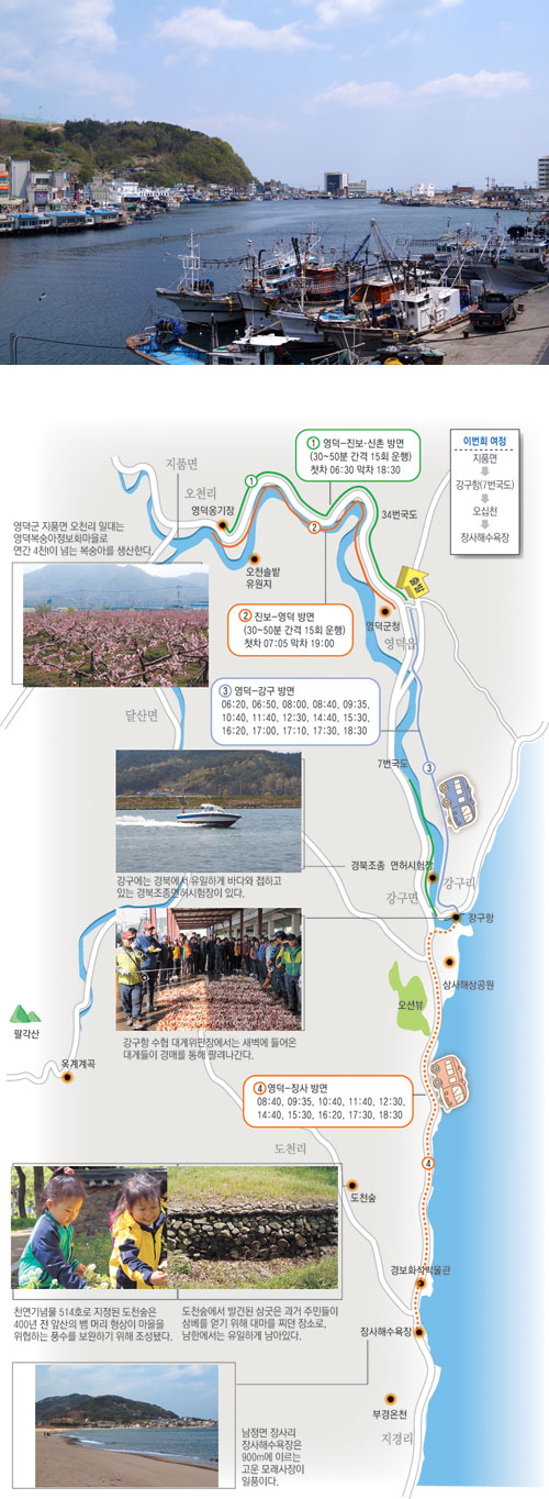 영덕군 강구면 강구항에는 11월부터 이듬해 4, 5월까지 대게잡이 어선들이 몰려든다.