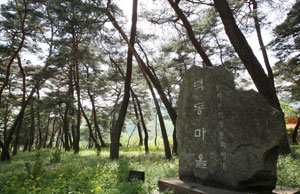 문화체험 관광지로 각광받고 있는 포항 기북면 덕동(德洞)마을의 숲 입구. 포항시 제공