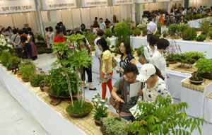 작년 엑스코에서 열린 꽃박람회에서 관람객들이 다양한 종류의 꽃을 구경하고 있다. 엑스코 제공