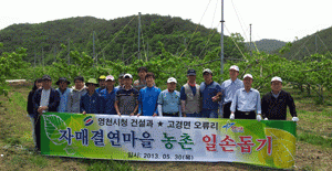 영천시 건설과 직원들이 30일 영천 고경면 오류리 자매결연마을에서 농촌일손돕기 활동을 벌였다. 영천시 제공