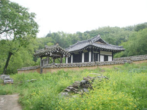 뇌풍정