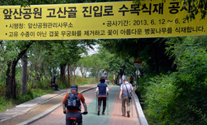 11일 대구 남구 봉덕동 고산골 맨발산책로 입구에는 