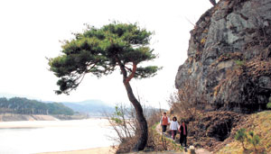 안동을 가로질러 흐르는 낙동강을 따라 역사와 문화, 유학적 가르침과 선비의 삶, 자연을 함께 아우르는 명품 오솔길과 산책로가 조성돼 있다. 하회마을 부용대 절벽에는 서애선생이 형인 겸암선생을 만나러 다녔던 