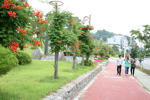 안동시 정하동 귀래정~성희여고 2㎞ 도로변의 