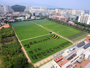 다음달 대구자연과학고에서 열릴 대한민국도시농업박람회를 알리는 팜아트.대구시 제공