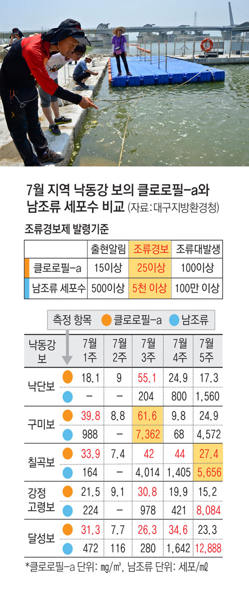 환경단체와 민간전문가, 야당 의원들로 꾸려진 