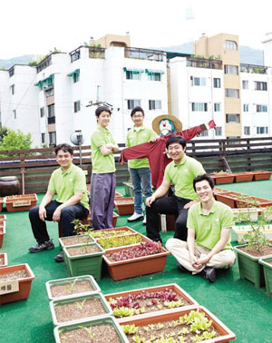 도시농업이 주목받으면서 농촌체험을 하면서 음료와 간단한 먹거리를 즐길 수 있는 팜카페가 주목받고 있다. 팜카페 얼티즌에서 운영하는 옥상텃밭 모습.