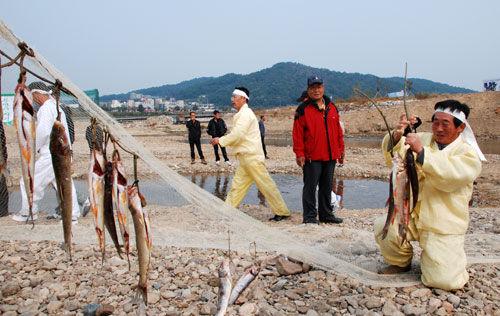 낙동강 누치잡이 전통 천렵 시연회에는 명주실 그물로 어른 팔뚝만 한 누치를 잡아 올리고 가마솥에 끓여내는 등 대표적 강 문화를 볼 수 있다. 사진은 지난해 행사 모습. 엄재진기자