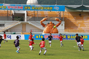 제8회 한국중등(U-15)축구연맹회장배 겸 경상북도지사배 국제축구대회가 열리는 영덕군민운동장. 사진은 지난달 30일 제1회 영덕대게배 전국 유소년축구대회 U-10 결승전 모습. 영덕군 제공