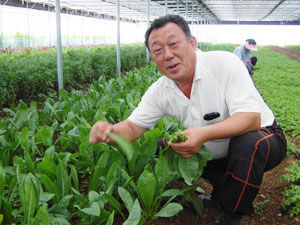 친환경인증 채소를 재배하는 들풀애농장 이영환 농장주가 들풀애 한솥밥 식구들에게 줄 채소를 수확하고 있다. 아래 사진은 이 농원의 꾸러미 속 채소들. 김진만기자
