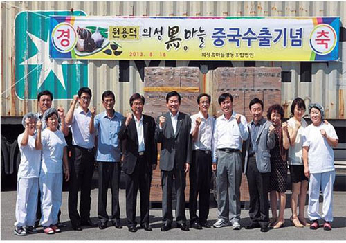 경운대와 의성군 관계자들이 의성흑마늘 중국 첫 수출의 기쁨을 함께 나누고 있다. 경운대 제공