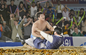 20일 경산에서 열린 2013 추석장사씨름대회 한라장사에 오른 최성환이 환호하고 있다. 작은 사진은 꽃가마를 탄 최성환. 대한씨름협회 제공