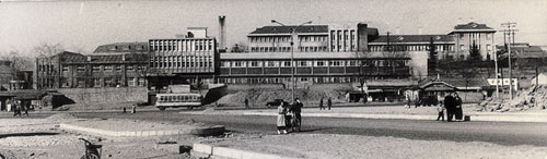 1967년 동대구역 쪽에서 바라본 파티마병원의 전경. 당시만 해도 인근에서 병원이 가장 큰 건물이었다. 대구파티마병원 제공