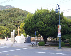 구미 박정희 전 대통령 생가 앞에 일본산 향나무인 가이즈카 5그루가 심어져 논란이 되고 있다. 구미경실련 제공