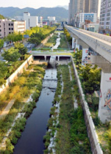 사진. 30일 오후 대구 수성구 범어천(두산오거리~어린이회관) 1.6㎞ 구간이 도심 속 생태하천으로 복원을 앞두고 제모습을 드러냈다. 대구시와 수성구는 연말까지 복원사업을 마무리하고 아이들이 물놀이를 즐길 수 있는 깨끗한 하천으로 만들 계획이다.