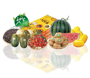 친환경적으로 생산해 소비자가 믿고 먹을 수 있는 전국 최고의 친환경 고령 특산물. 고령군 제공