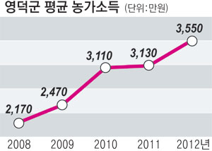 영덕군 농가소득 추이