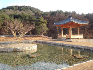 2013년 12월 현재 1단계 사업을 마무리한 대구수목원 전통정원 전경. 대구수목원 제공