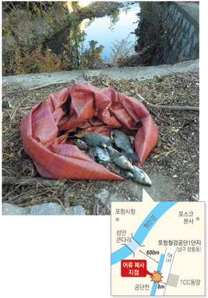 이달 8일 포항시 남구 포항철강관리공단 1단지 내 공단천이 검게 오염된 채 흐르고 있다. 이날 이곳 일대에서는 수백 마리의 물고기가 폐사된 채 발견됐으며, 경북도 조사결과 철강업체인 T사가 배출한 유해물질이 원인이 된 것으로 파악됐다.