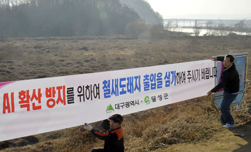 23일 대구의 대표적인 철새도래지인 달성습지에서 달성군청 공무원들이 조류인플루엔자(AI) 확산 방지를 위해 출입을 삼가 달라는 현수막을 걸고 있다. 성일권기자 sungig@msnet.co.kr