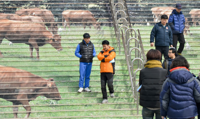 청도 소싸움 경기장 개장이 예고 없이 연기된 가운데 16일 소싸움 경기를 보러 대전에서 온 단체 관람객들이 허탈하게 경기장을 떠나고 있다. 청도 소싸움을 시행하는 청도공영사업공사와 수탁사업자인 ㈜한국우사회의 협상 결렬 때문에 올 시즌 주말마다 예정된 청도 소싸움 경기는 현재 무기한 연기된 상태다. 우태욱기자 woo@msnet.co.kr