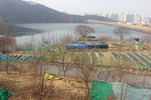어지럽게 형성된 경작지가 도원지 주변 경관을 훼손하고 있다.