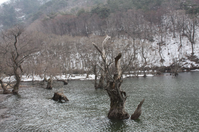 5일 풍부한 저수량을 확보한 대한민국 명승 제105호인 주산지가 아름다운 자태를 뽐내고 있다. 전종훈 기자