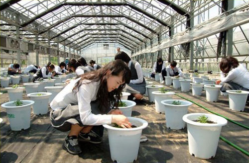 현장실습에 나선 안동 한국생명과학고등학교 학생들. 한국생명과학고 제공