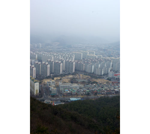 함지산 정상에서 내려다본 대구 동천동 지역.