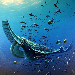 0.8m 괴물 새우 화석 