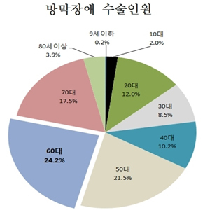 망막장애 환자 증가 