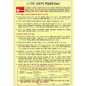 사진. 금융감독원