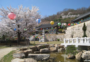 봄꽃과 연등이 조화를 이룬 동천사 앞마당.