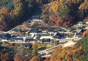 용문사 전경