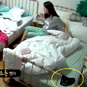 사진. SBS 예능프로그램 