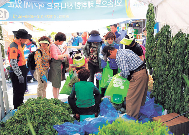 ▲제10회 영양산나물 축제가 16~18일 영양군에서 열렸다. 엄재진 기자