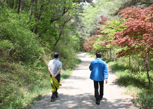 국가지질공원이 될 청송 