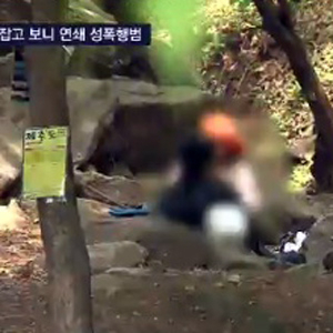 사진.SBS 뉴스 캡처