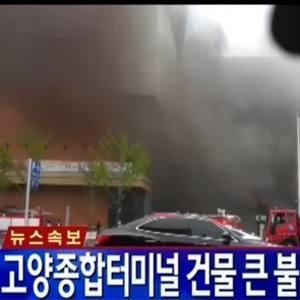 사진. YTN 방송 캡처