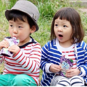 사진. KBS 2TV 