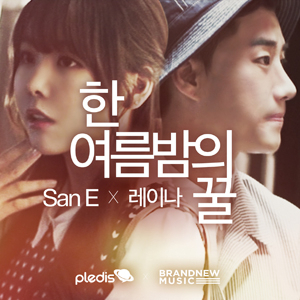 사진. 플레디스