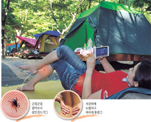 마음의 치유를 위해 떠난 캠핑에서 자칫 몸의 질병을 얻어올 수 있다. 딱딱한 잠자리와 무리한 이동, 무더위, 각종 해충은 건강을 해치는 위험 요소다. 매일신문 DB