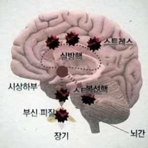 사진=MBC
