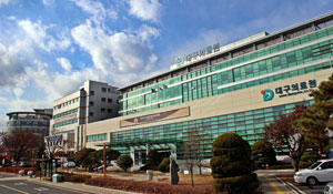 15일 설립 100주년을 맞은 대구의료원은 사회적 약자를 보호하는 공공의료기관이자 대형종합병원으로 새로운 100년을 준비하고 있다. 대구의료원 제공