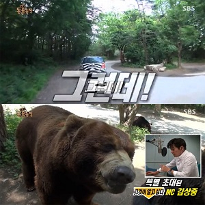 사진. 그런데말입니다 김상중(SBS TV동물농장 방송 캡처)