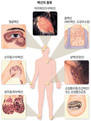 자료:대한의사회